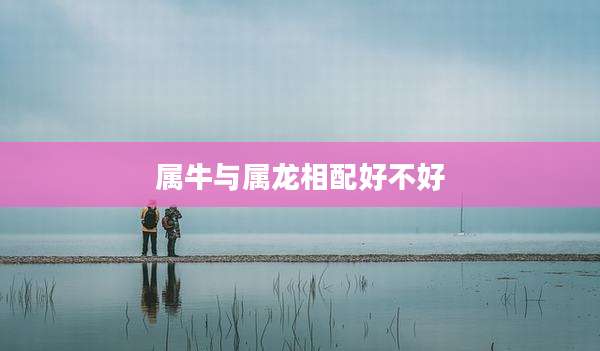 属牛与属龙相配好不好