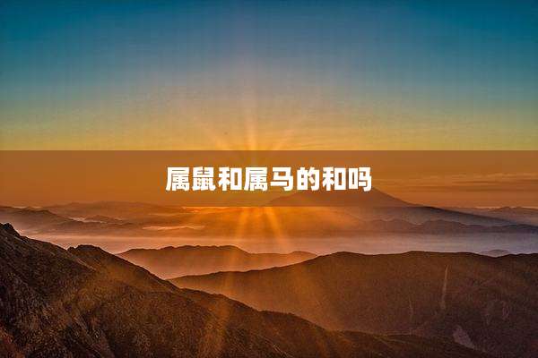 属鼠和属马的和吗