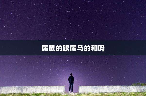 属鼠的跟属马的和吗