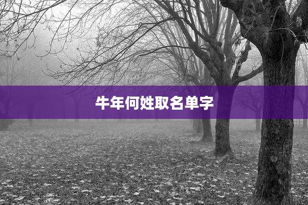 牛年何姓取名单字