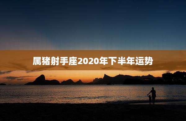 属猪射手座2020年下半年运势