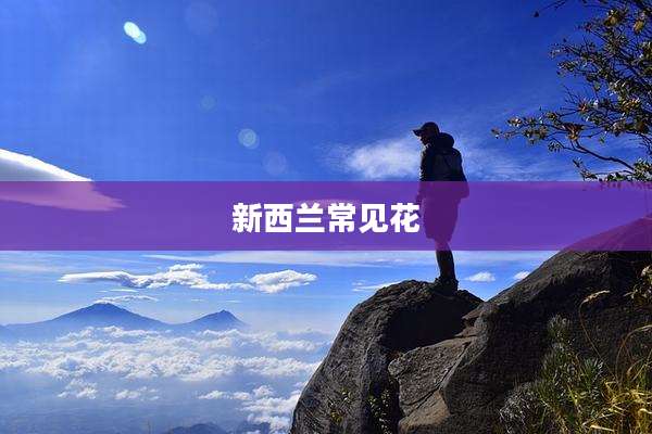 新西兰常见花