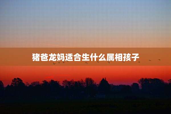 猪爸龙妈适合生什么属相孩子