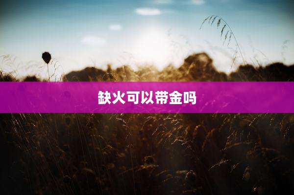 缺火可以带金吗