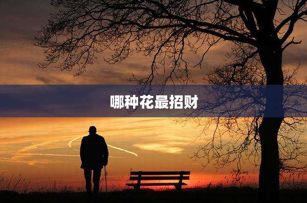 哪种花最招财