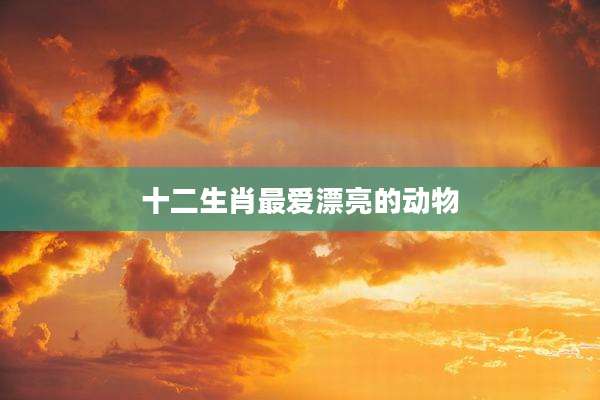 十二生肖最爱漂亮的动物