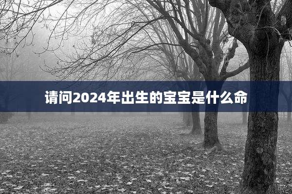 请问2024年出生的宝宝是什么命