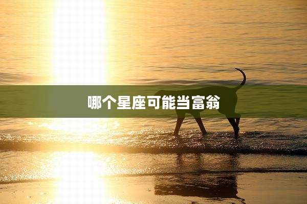 哪个星座可能当富翁