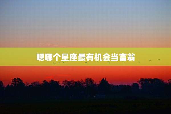 嗯哪个星座最有机会当富翁