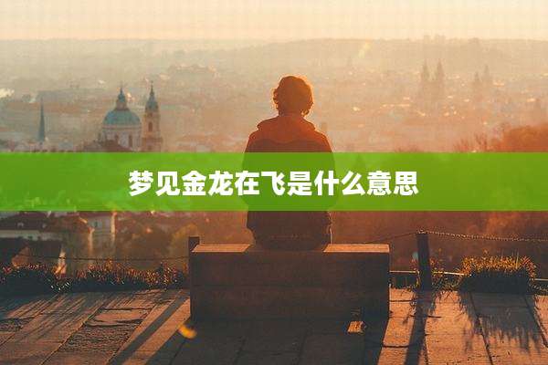 梦见金龙在飞是什么意思