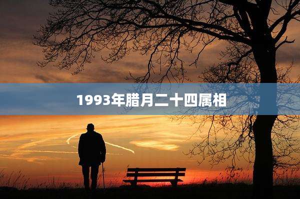 1993年腊月二十四属相