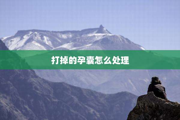 打掉的孕囊怎么处理