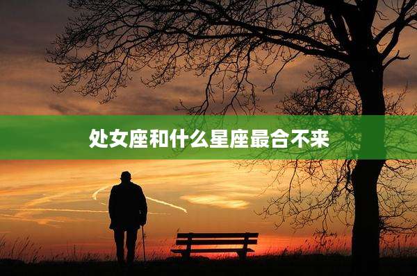 处女座和什么星座最合不来