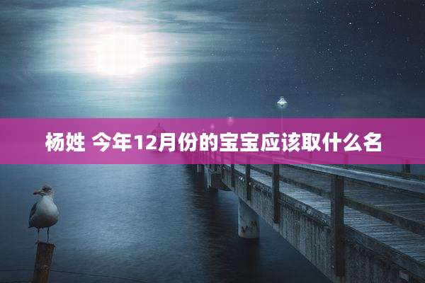 杨姓 今年12月份的宝宝应该取什么名