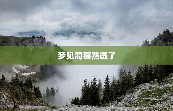梦见葡萄熟透了
