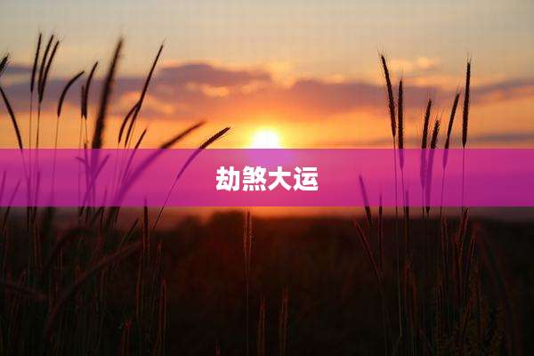 劫煞大运