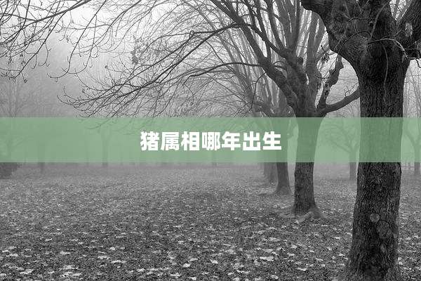 猪属相哪年出生