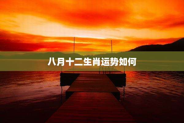 八月十二生肖运势如何