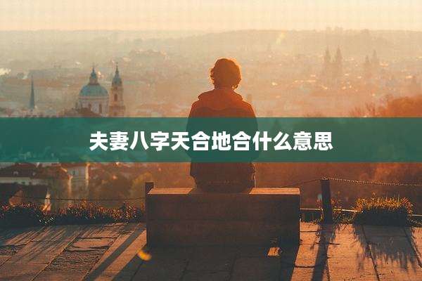 夫妻八字天合地合什么意思