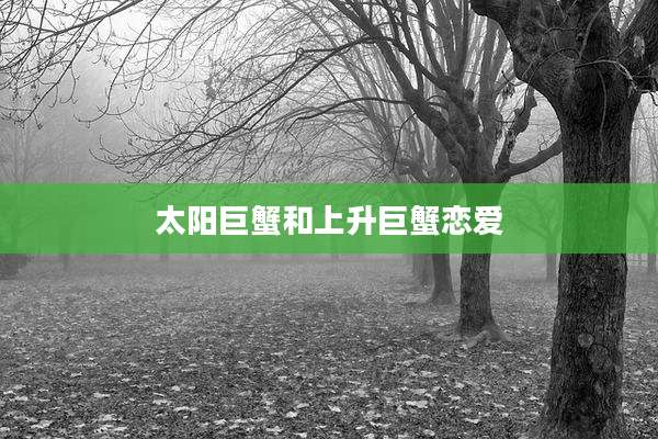 太阳巨蟹和上升巨蟹恋爱