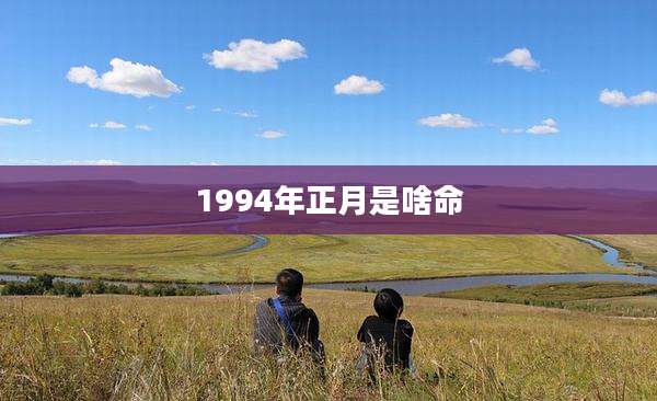 1994年正月是啥命