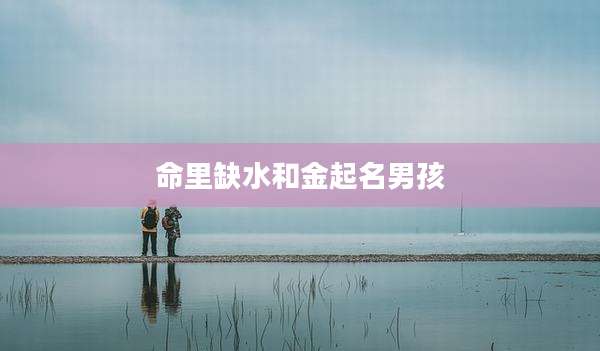 命里缺水和金起名男孩