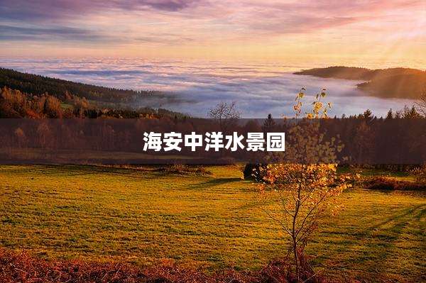 海安中洋水景园