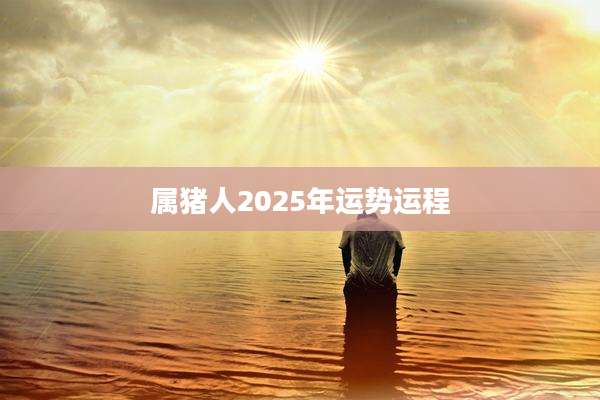 属猪人2025年运势运程