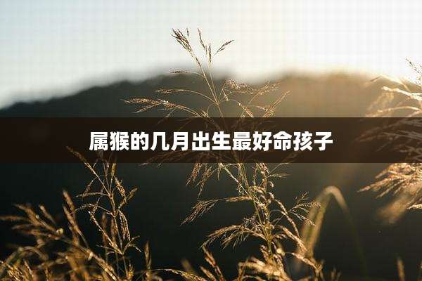 属猴的几月出生最好命孩子