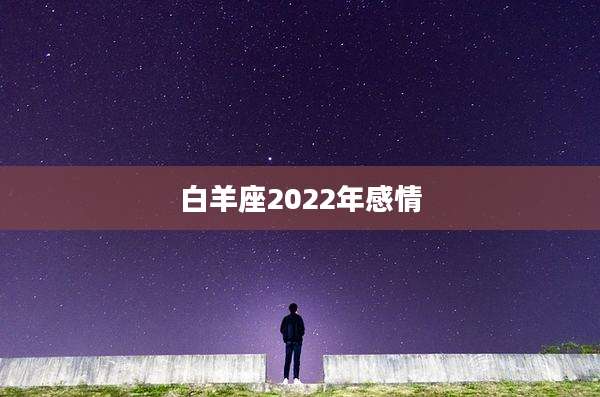 白羊座2022年感情