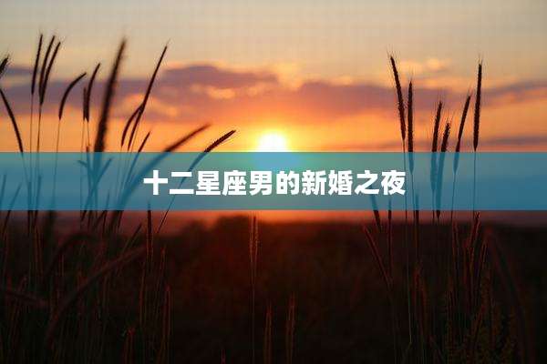 十二星座男的新婚之夜