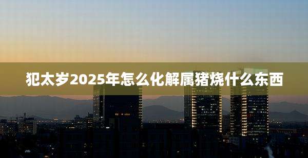 犯太岁2025年怎么化解属猪烧什么东西