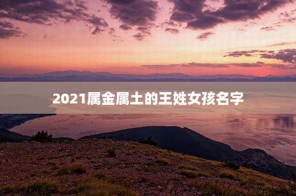 2021属金属土的王姓女孩名字
