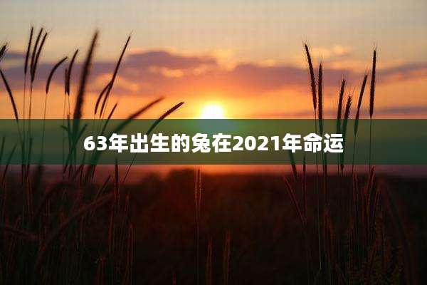 63年出生的兔在2021年命运