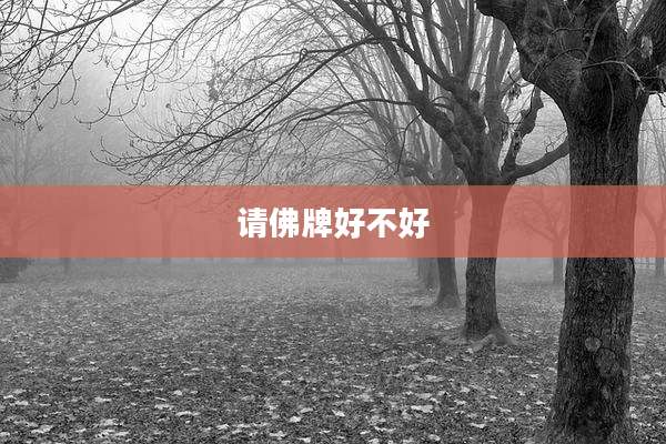 请佛牌好不好