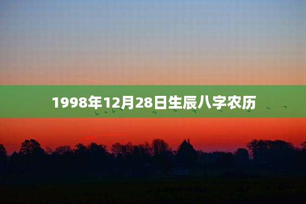 1998年12月28日生辰八字农历