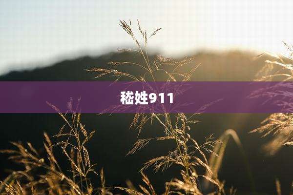 嵇姓911