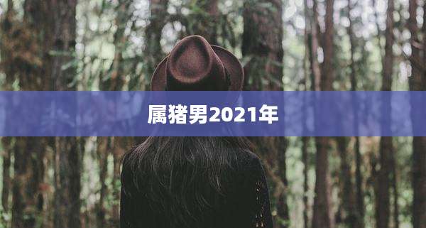属猪男2021年
