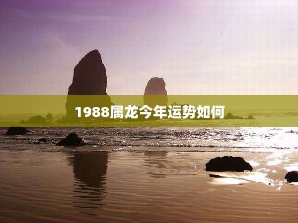 1988属龙今年运势如何