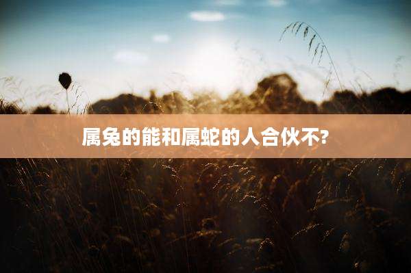 属兔的能和属蛇的人合伙不?