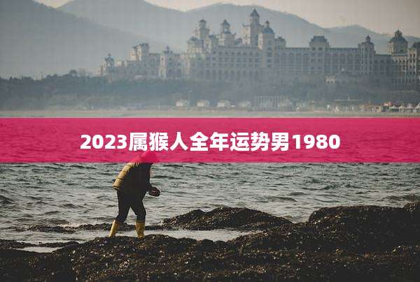 2023属猴人全年运势男1980