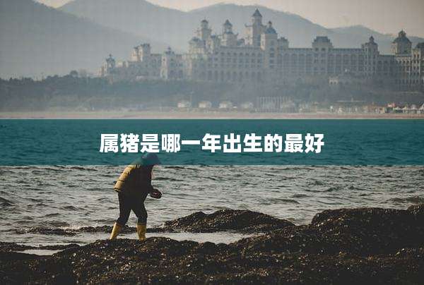 属猪是哪一年出生的最好
