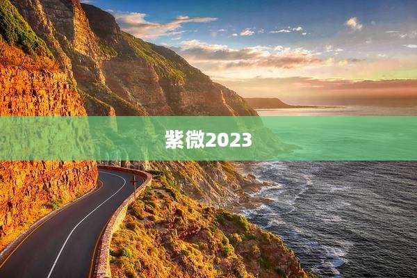 紫微2023