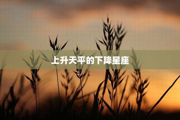 上升天平的下降星座