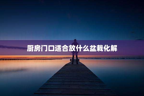 厨房门口适合放什么盆栽化解