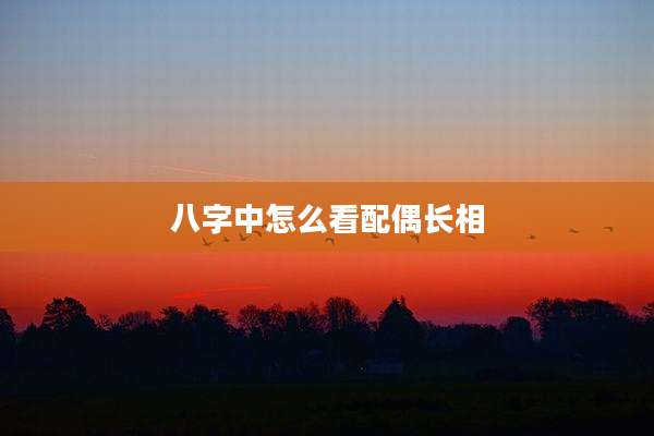 八字中怎么看配偶长相
