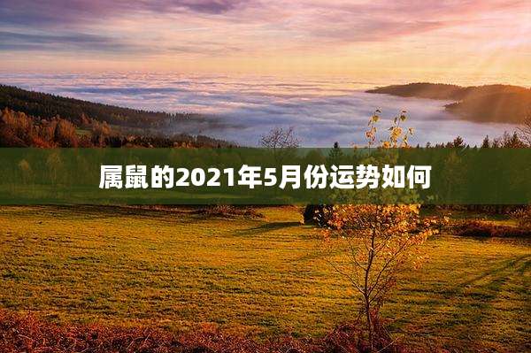 属鼠的2021年5月份运势如何