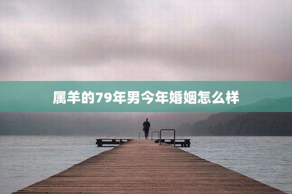 属羊的79年男今年婚姻怎么样