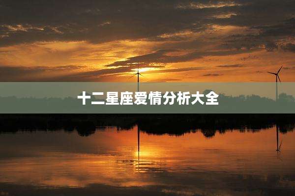 十二星座爱情分析大全