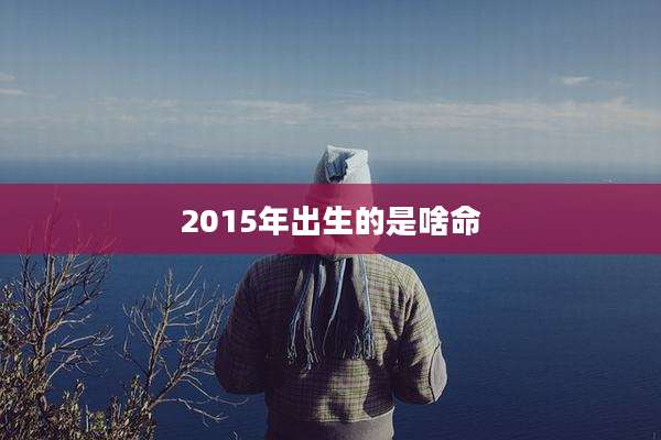 2015年出生的是啥命
